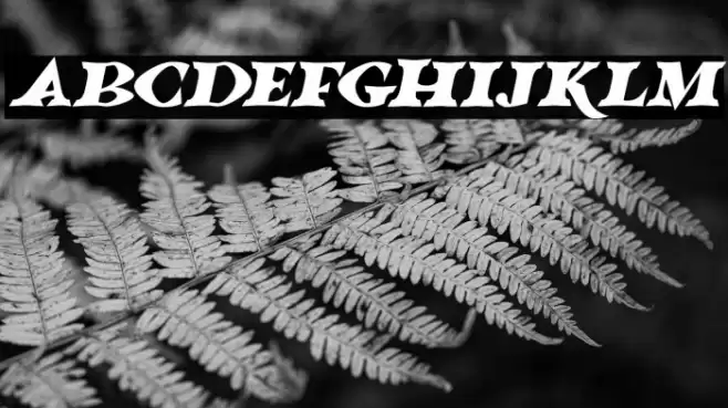 Halloween Horrors 2023 Italic Font examples