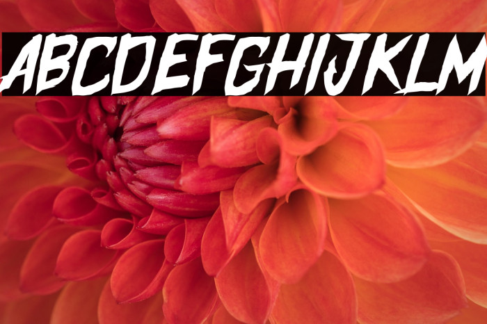 Halloween Night Example 3