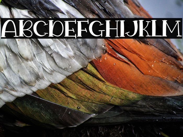 Halloween Night Example 3