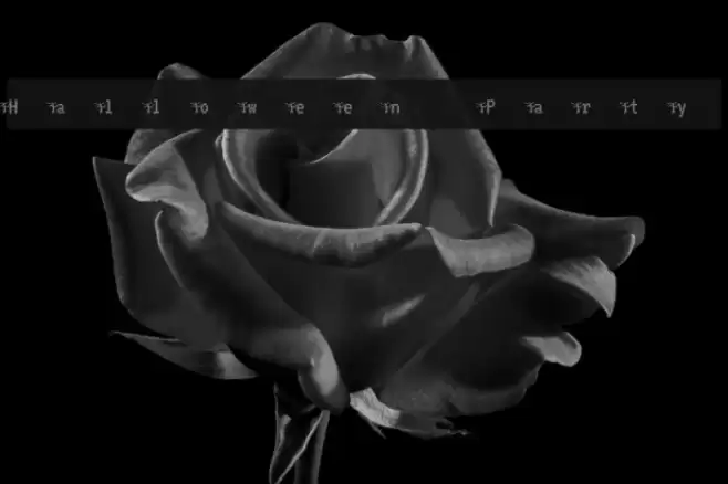 Halloween Party Font examples