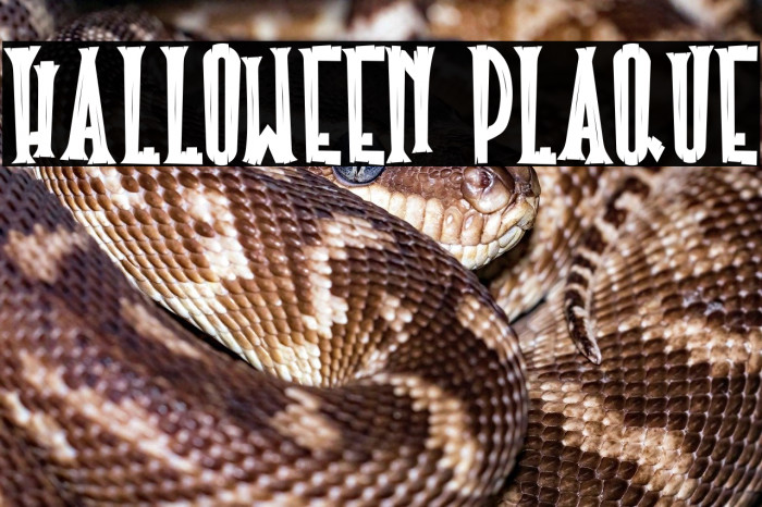 Halloween Plaque Example 3