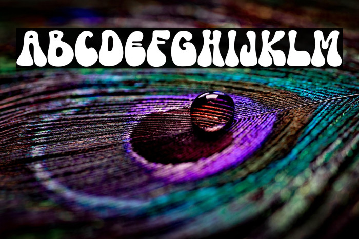 Halloween Season Example 3