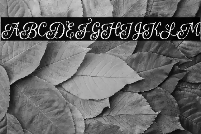 Halloween Sparkle フォント examples