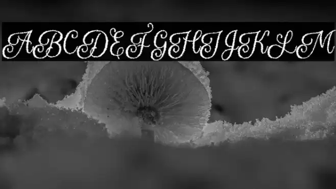 Halloween Sparkle フォント examples