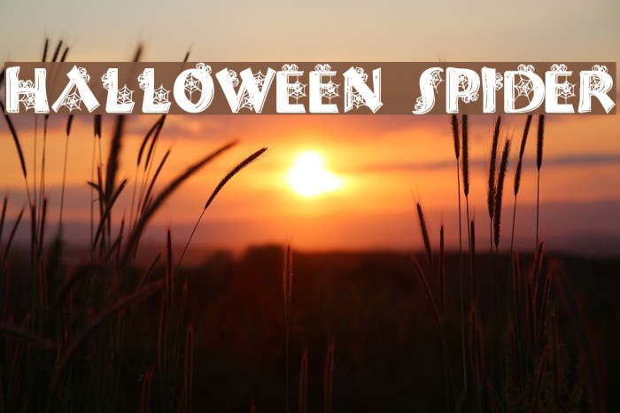 Halloween Spider Schriftart examples