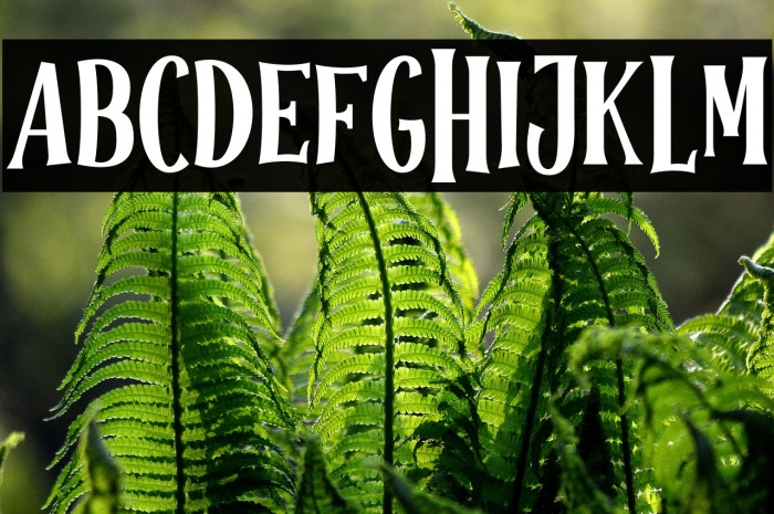 Halloween Spooky Regular Example 2