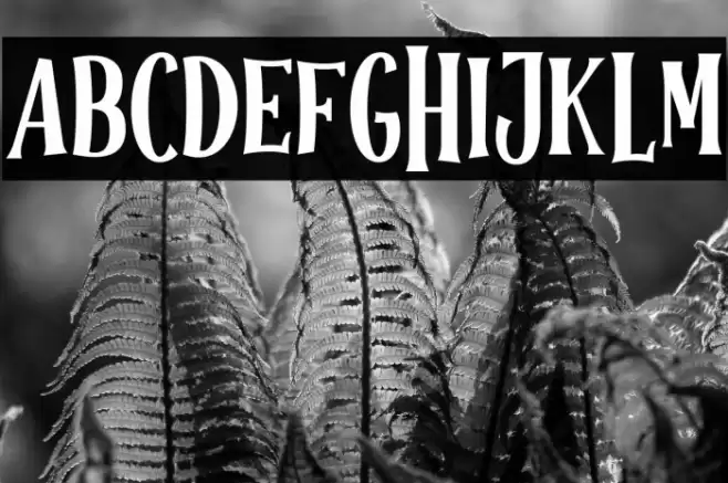 Halloween Spooky Regular Шрифта examples