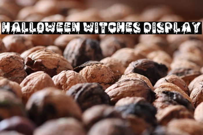 Halloween Witches Display Example 1