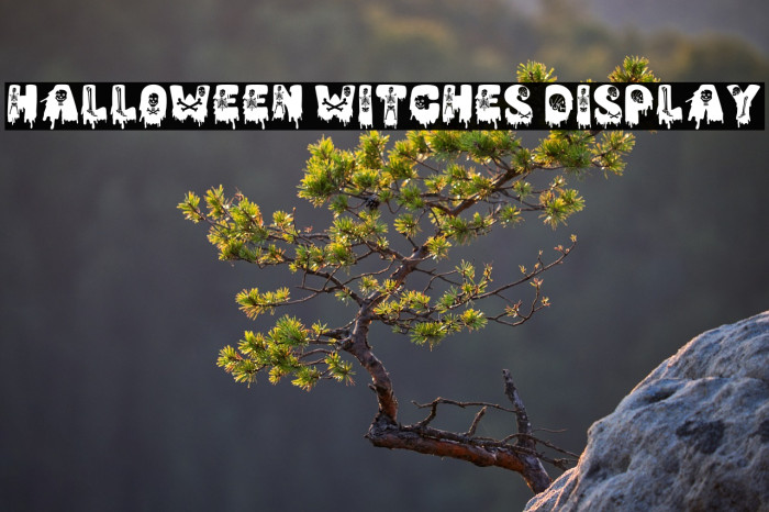 Halloween Witches Display Example 2