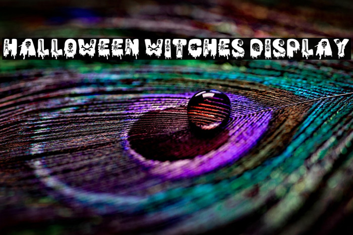 Halloween Witches Display Example 3