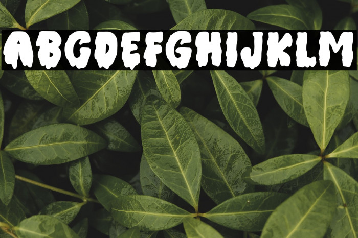 Halloween witches Regular Example 1