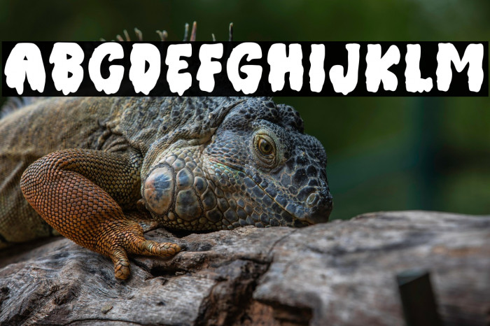 Halloween witches Regular Example 2