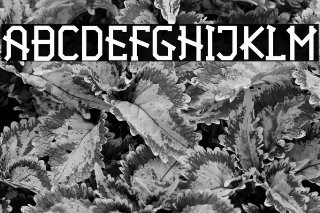 Halloween Font examples