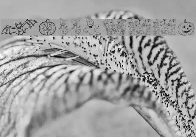 Halloween Font examples