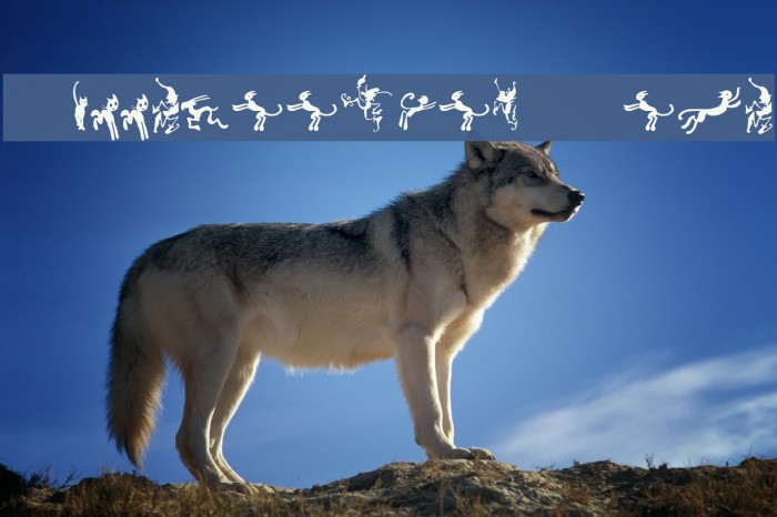 Halloweenies Demo Example 1