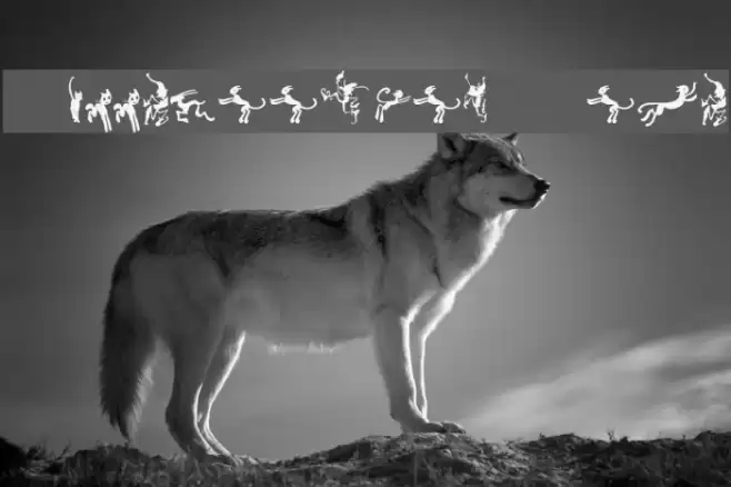 Halloweenies Demo Font examples