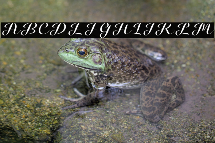 HalloweeninAutumn Example 1