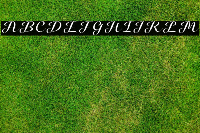 HalloweeninAutumn Example 3