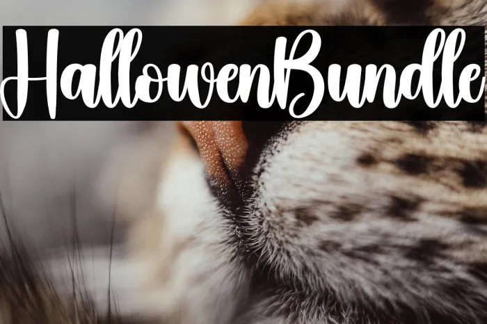 Hallowen Bundle Example 1