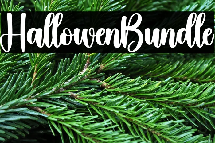 Hallowen Bundle Example 2