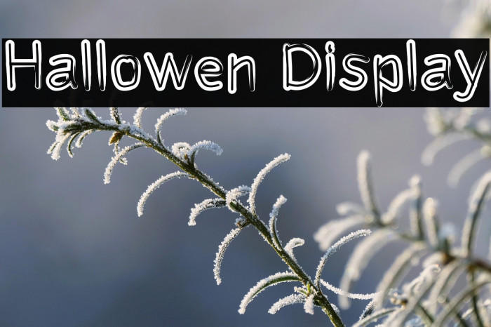 Hallowen Display Example 1