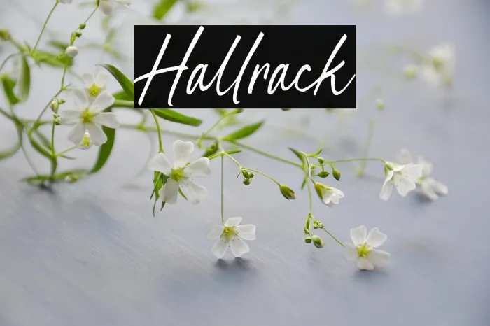 Hallrack Example 2