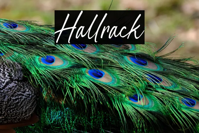 Hallrack Example 3