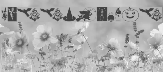 Hallsymbol Font examples