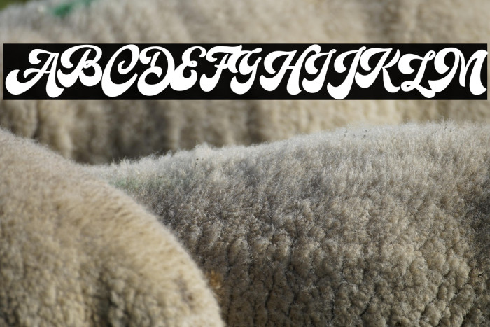 Hallway  Demo Regular Example 1