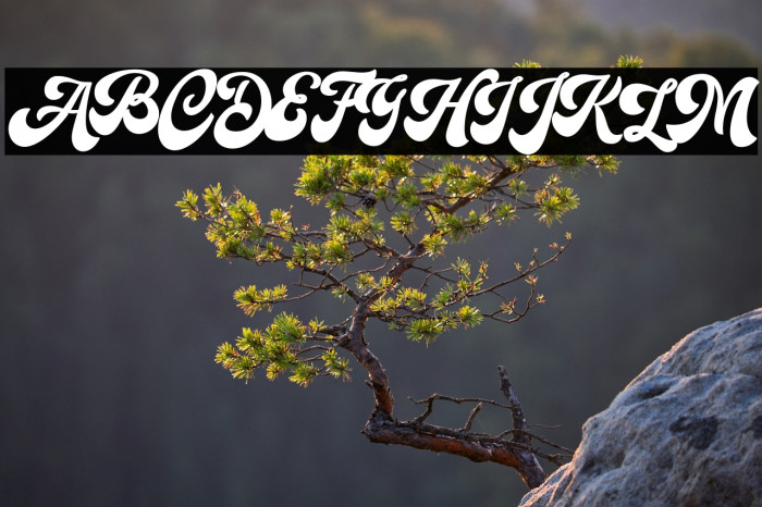 Hallway  Demo Regular Example 3