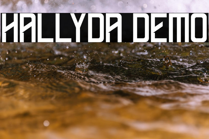 Hallyda Demo Example 3