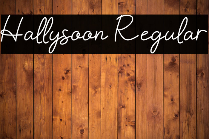 Hallysoon Regular Schriftart examples