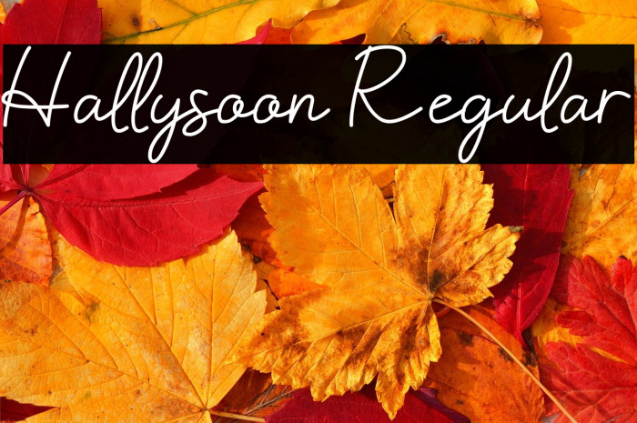Hallysoon Regular Schriftart examples