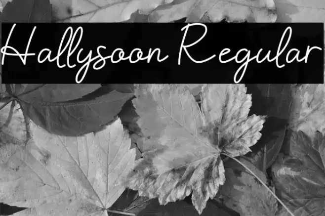 Hallysoon Regular Font examples