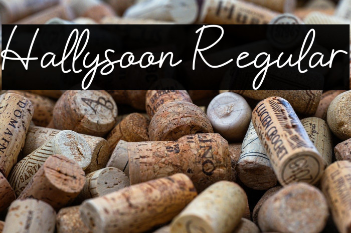 Hallysoon Regular Schriftart examples