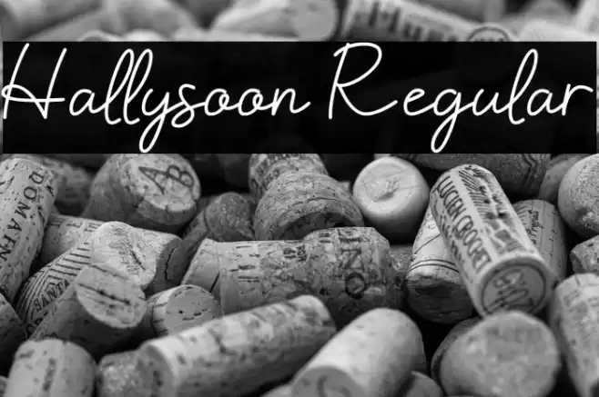 Hallysoon Regular Font examples