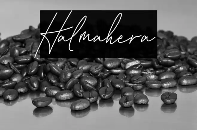 Halmahera Font examples
