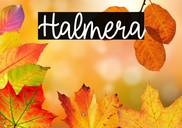 Halmera Example 3