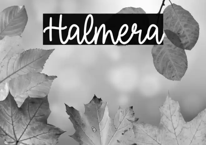 Halmera Font examples