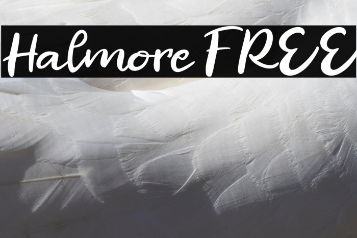 Halmore FREE Example 2