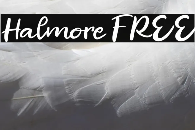 Halmore FREE Example 2