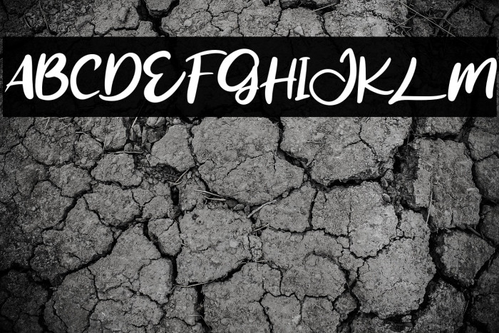 HalmoreFREE Example 1