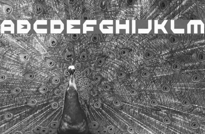 Halo Condensed Font examples