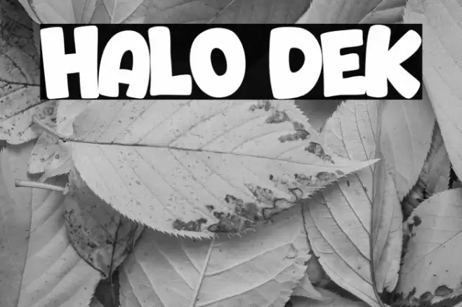 Halo Dek Font examples