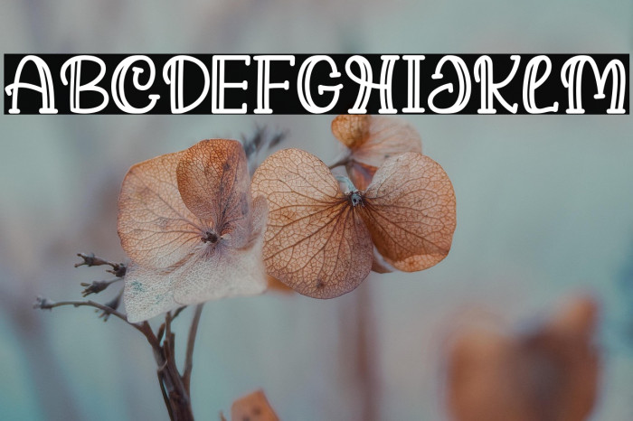 Halo Domas Regular Example 2