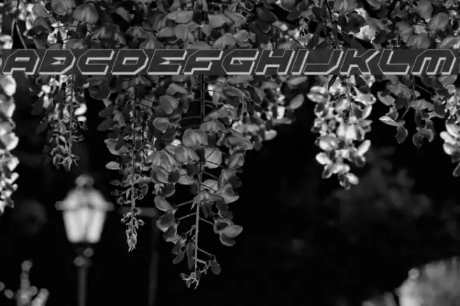 Halo Shadow Italic Font examples