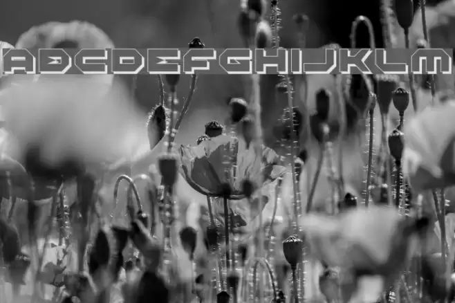 Halo Shadow フォント examples