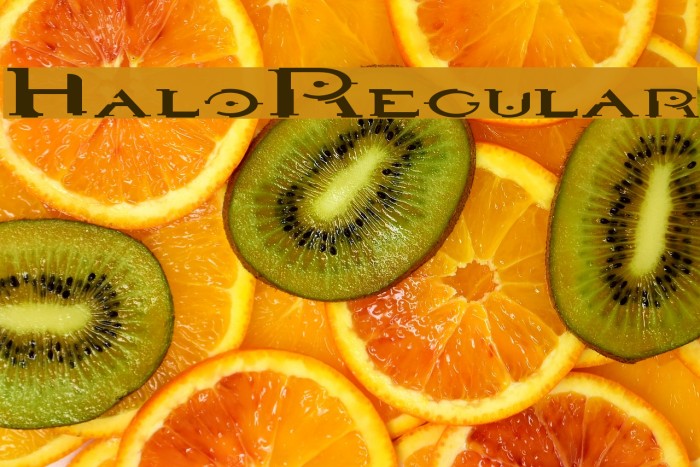 HaloRegular Polices examples
