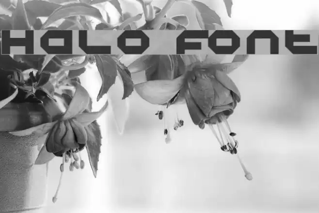 Halo Font examples