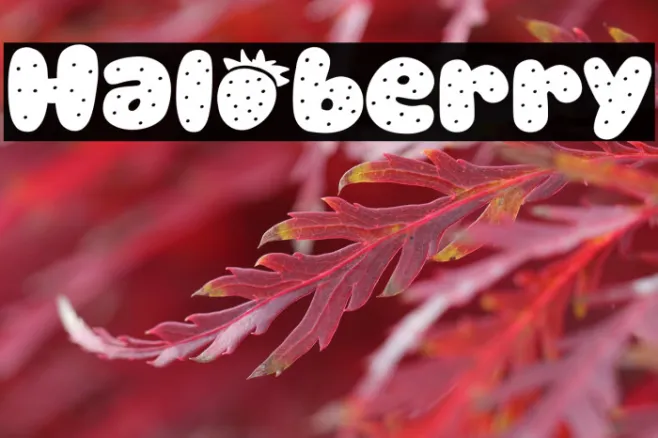 Haloberry Example 1